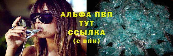 эйфоретик Баксан
