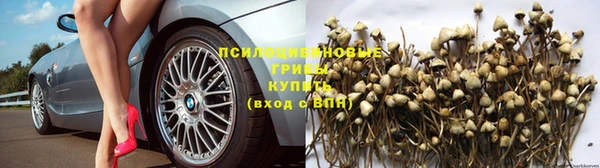 каннабис Белоозёрский