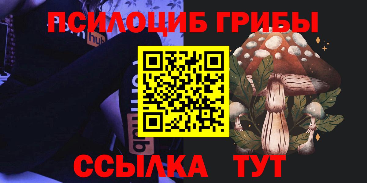 Галлюциногенные грибы мухоморы  Псилоцибиновые грибы Psilocybe  Вход с VPN  Кувандык 